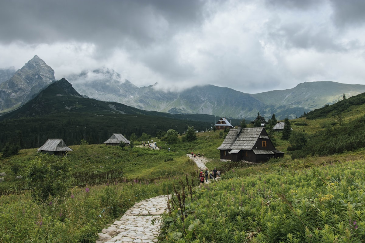Casă mare de lemn în stil tradițional moțesc, cu living generos